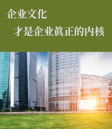 室内小间距LED显示屏技术演进与陕西彩亮亮化工程应用观察